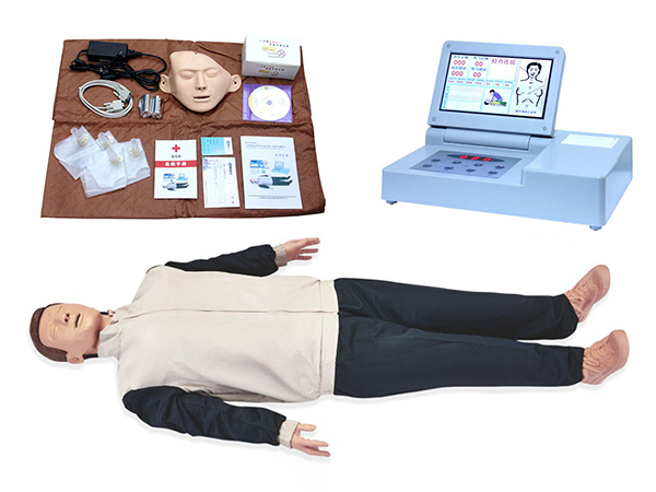 应急救护培训模型如何应用于学校教育？