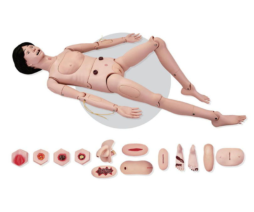 高级全功能护理人训练模型（女性）