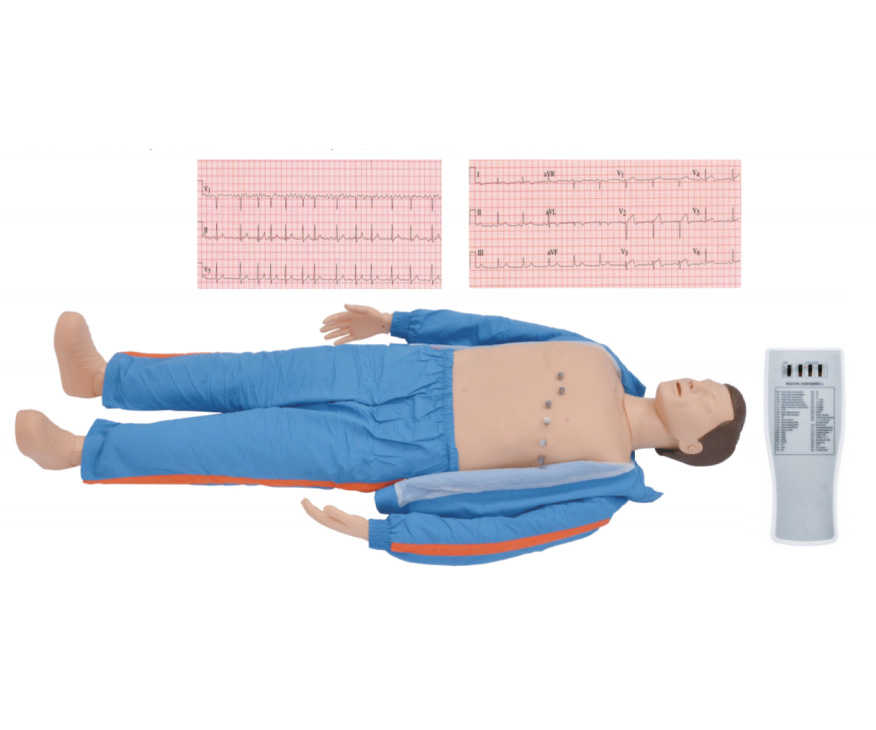 多种心电图电脑模拟人