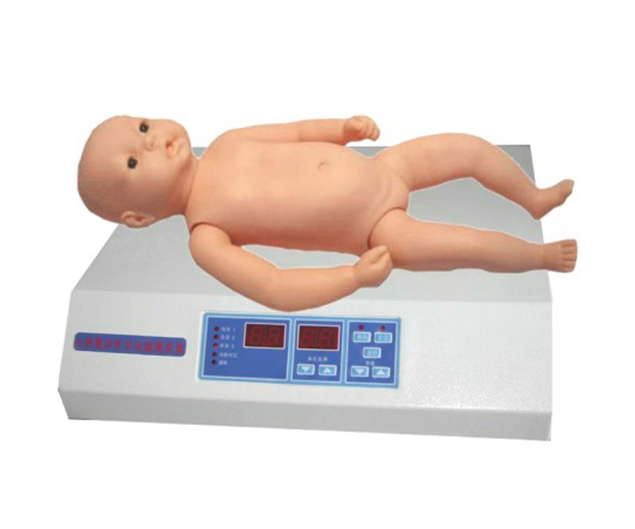 婴儿心肺听诊触诊电脑模拟人（单机版）