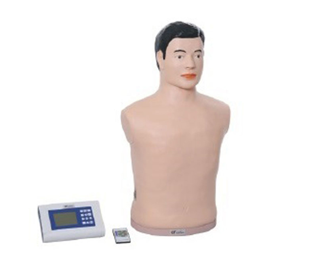 数字遥控式心肺听诊触诊模拟人（单机版）