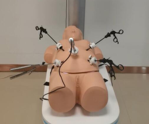 腹腔镜手术技能训练人体模型