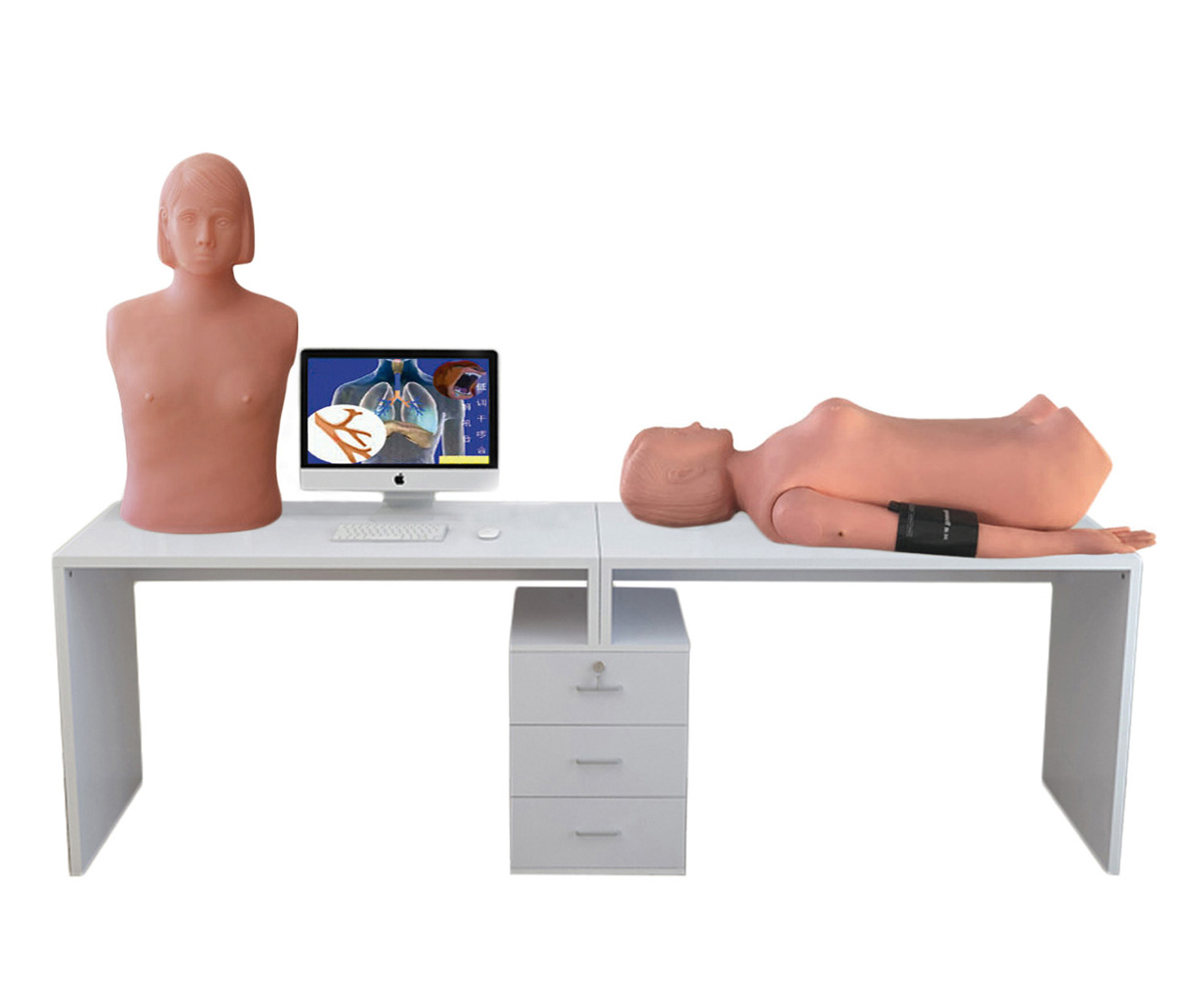 智能型网络多媒体胸腹部检查教学系统