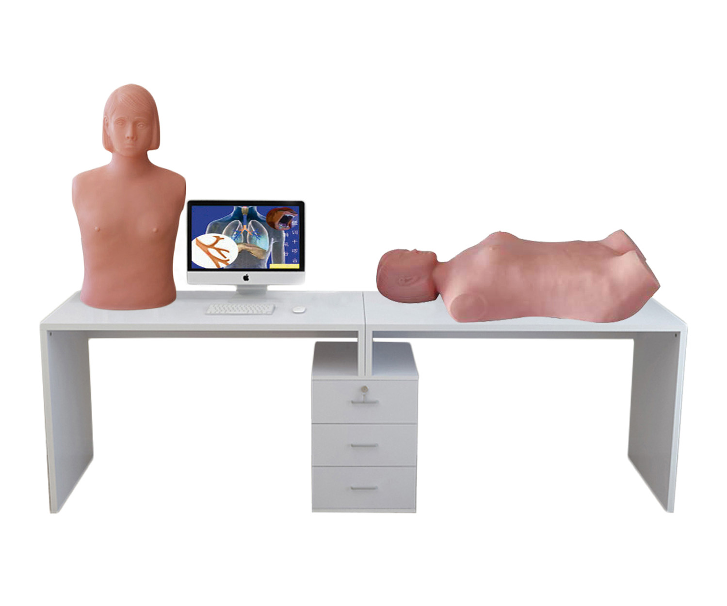 智能型网络多媒体心肺检查和腹部检查教学系统