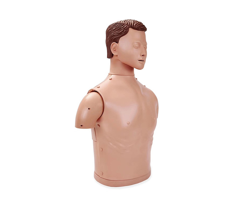 半身心肺复苏训练模拟人（简易型）