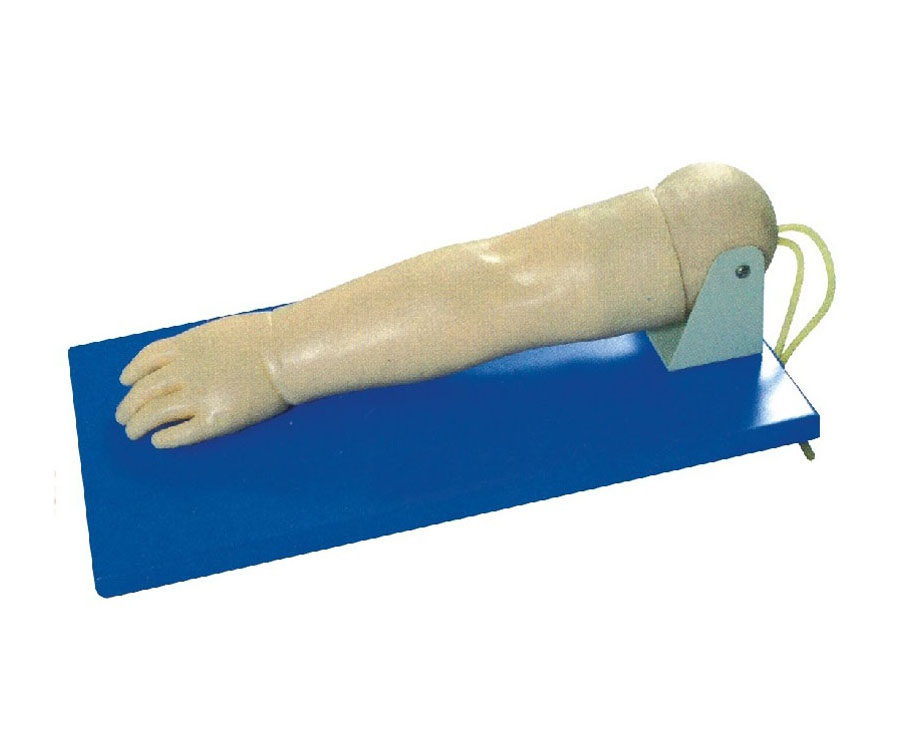 高级小儿静脉穿刺手部模型