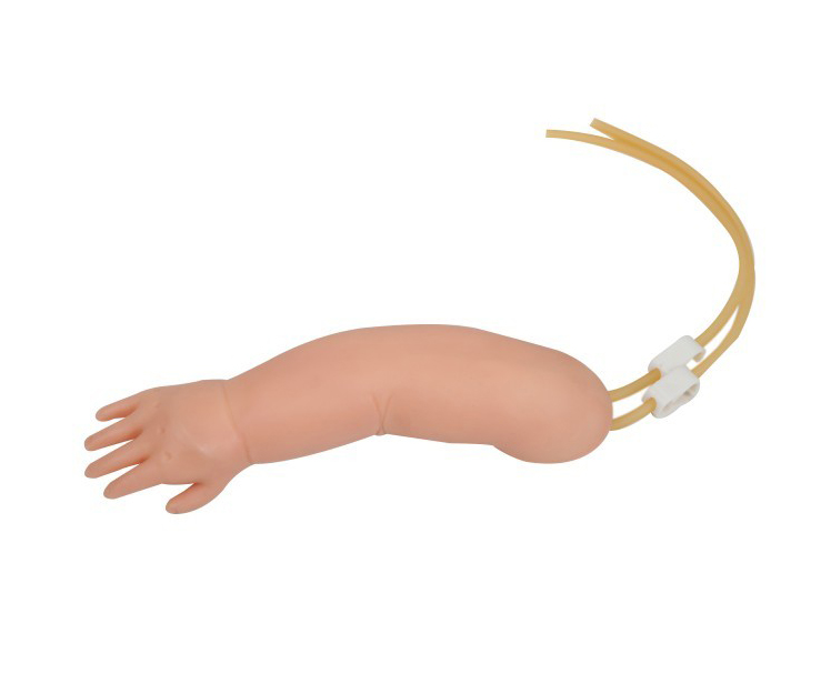 高级婴儿手臂静脉穿刺模型