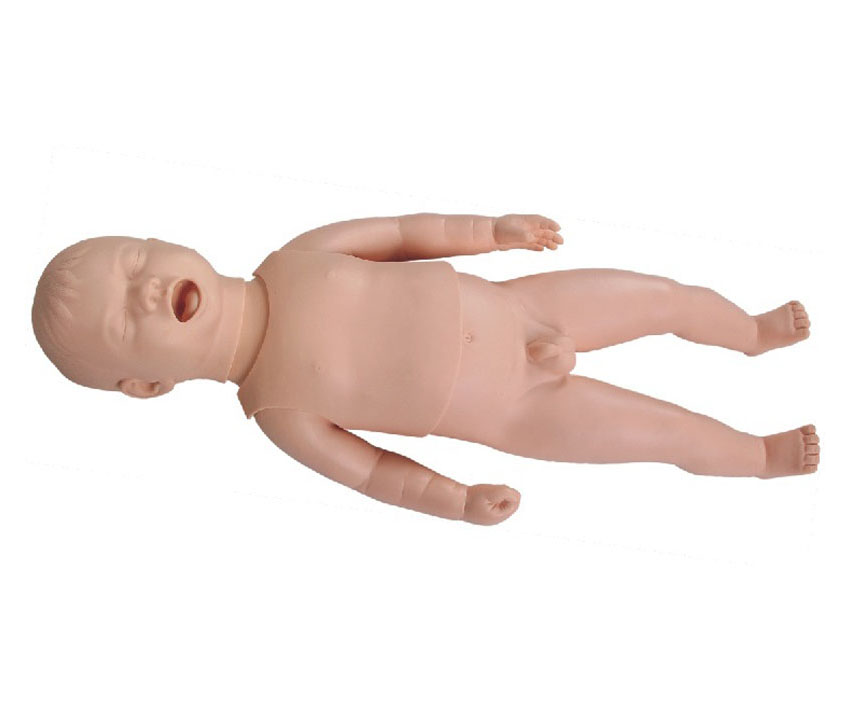 新生儿生长指标评定及护理训练模型