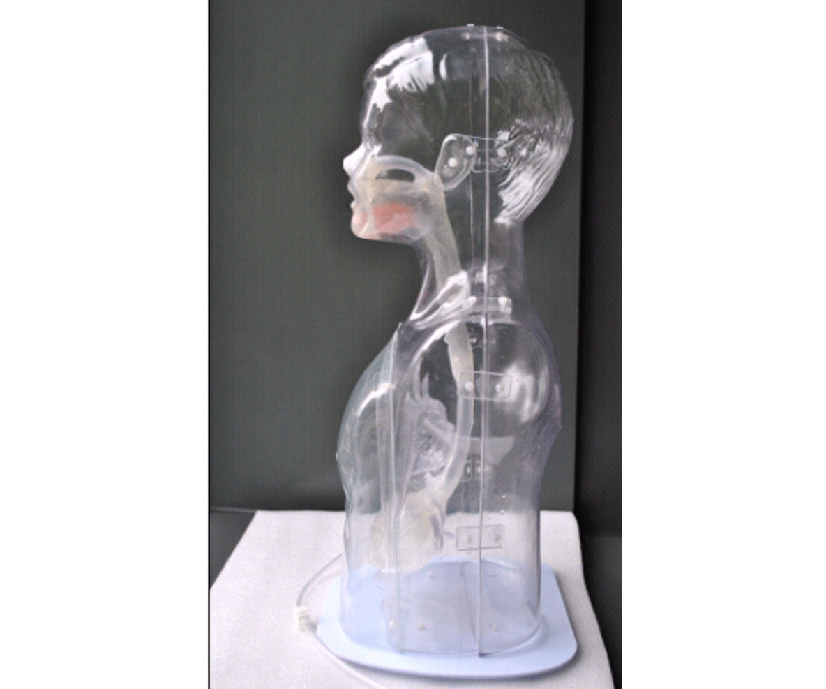 小儿多功能透明鼻饲及洗胃模型