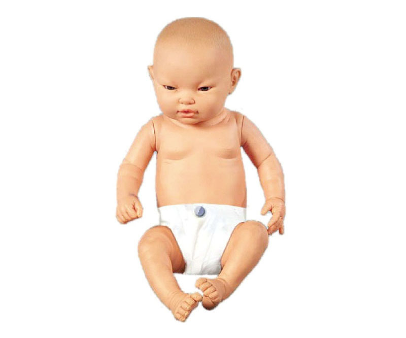 高级智能婴儿模型