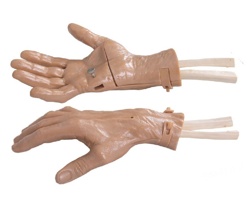 腕关节镜检查模型