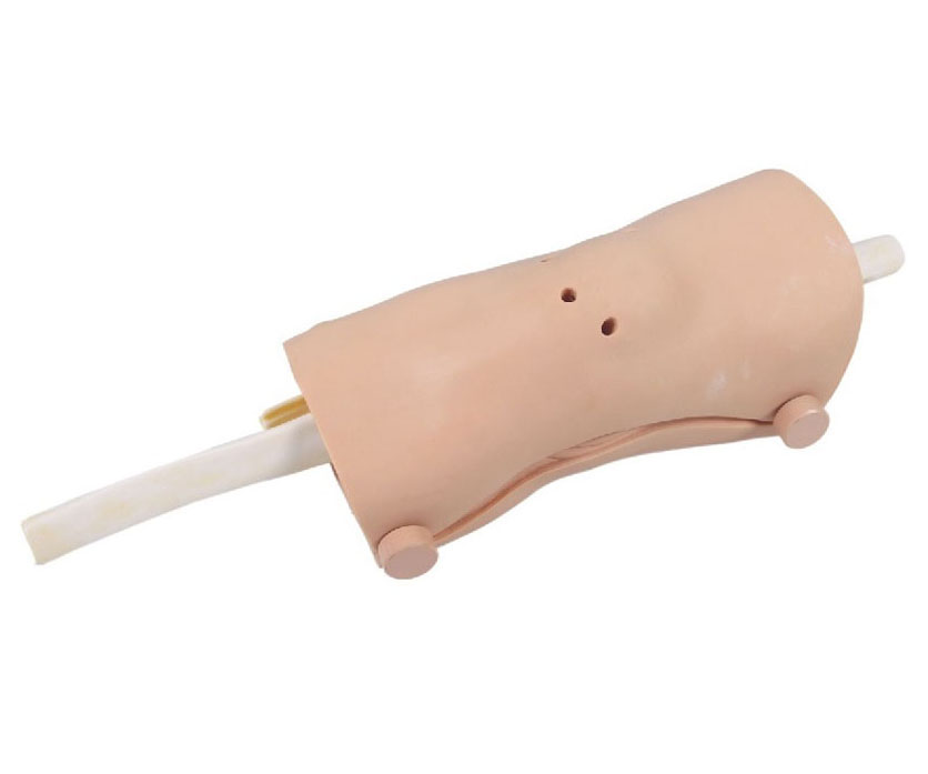 膝关节镜检查模型