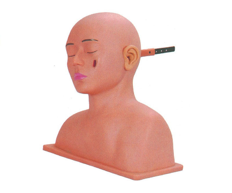 高级耳诊断模型