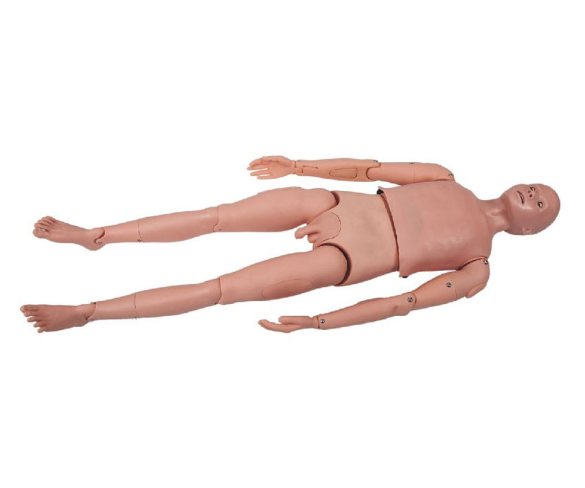 全身术前无菌操作训练模型