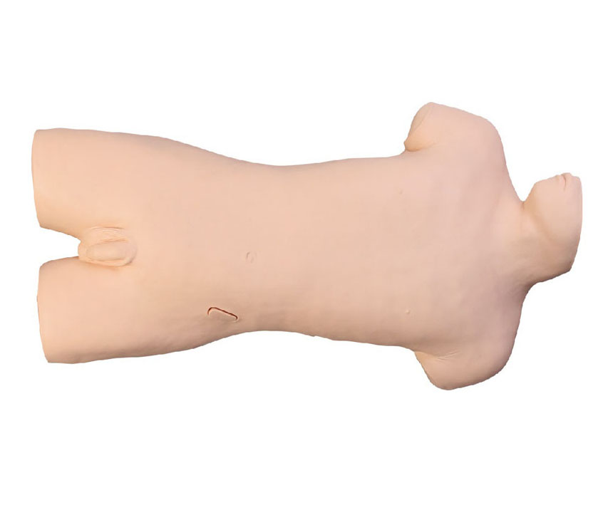 术前无菌操作训练模型