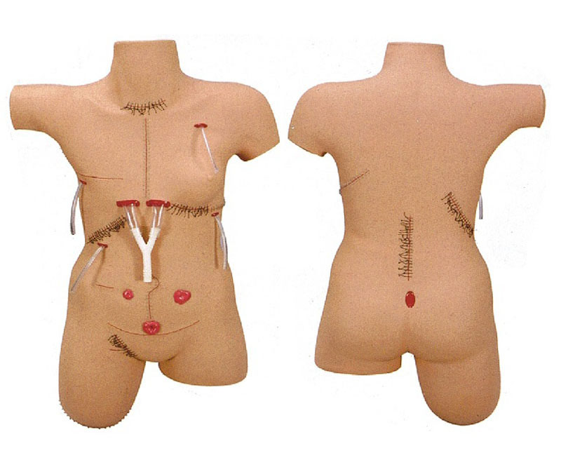 外科缝合包扎展示模型