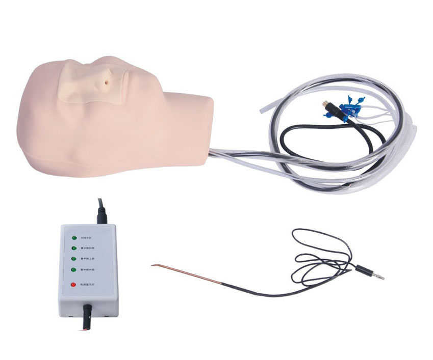 高级鼻腔出血模型