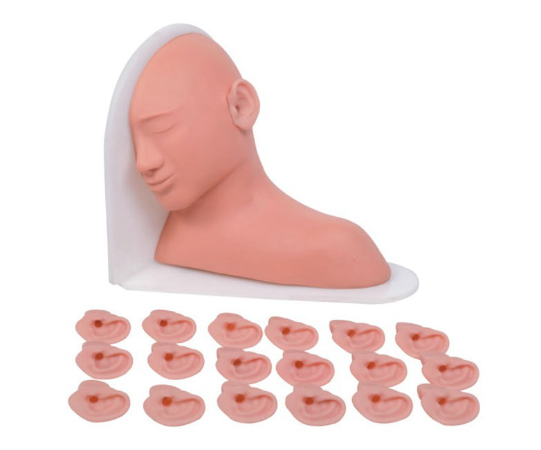 高级耳部检查模型