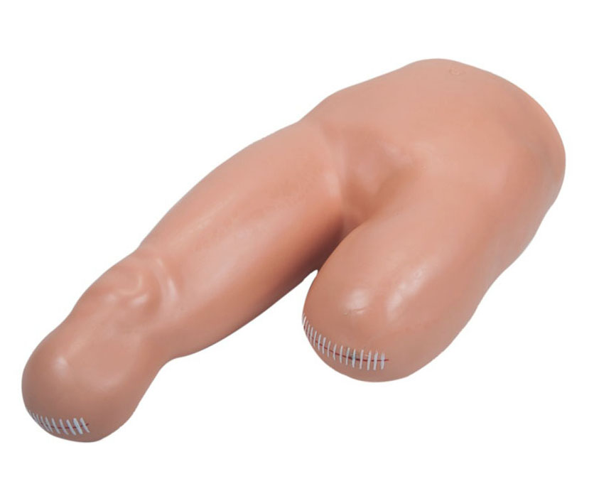 高级低位包扎模型