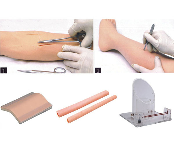 外科综合技能训练组合模型