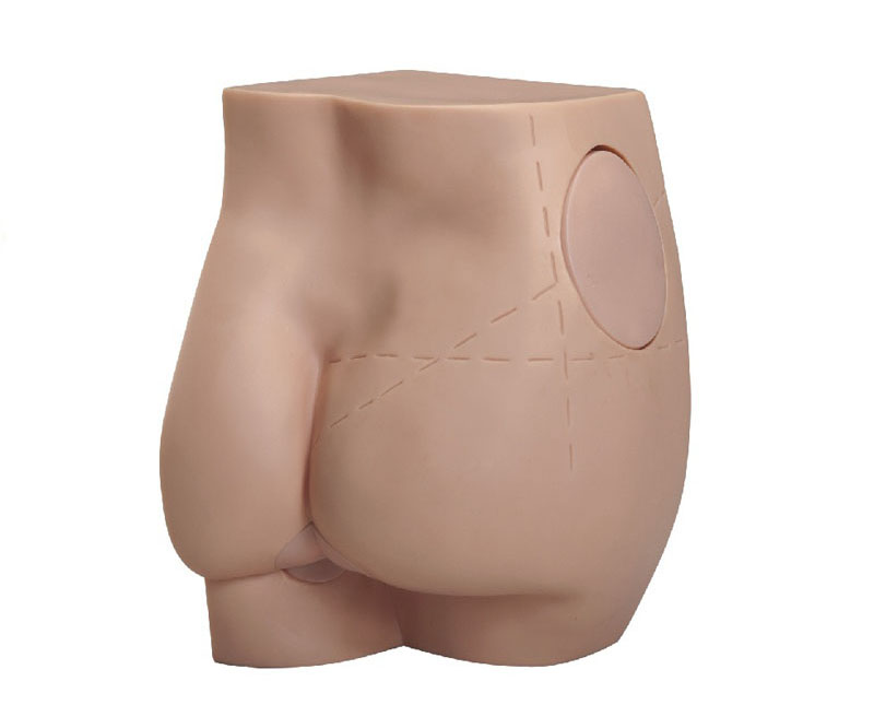 臀部注射实习模型