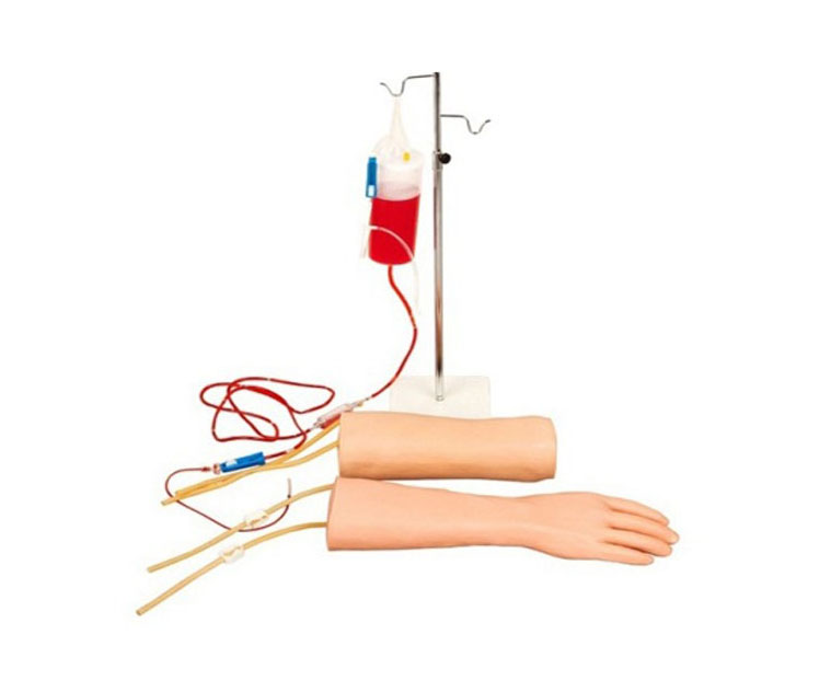 手部、肘部组合式静脉输液（血）训练模型