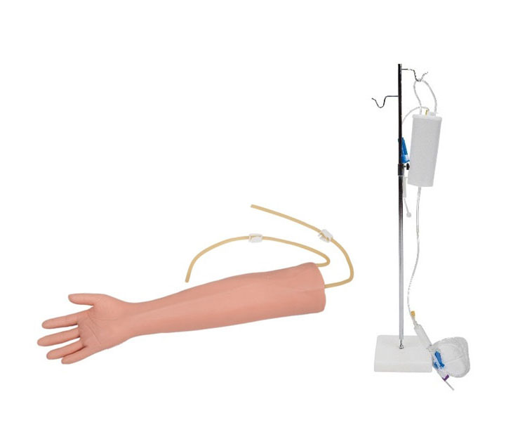 高级老年人静脉穿刺训练手臂模型