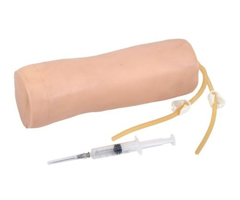 高级肘部静脉穿刺训练模型