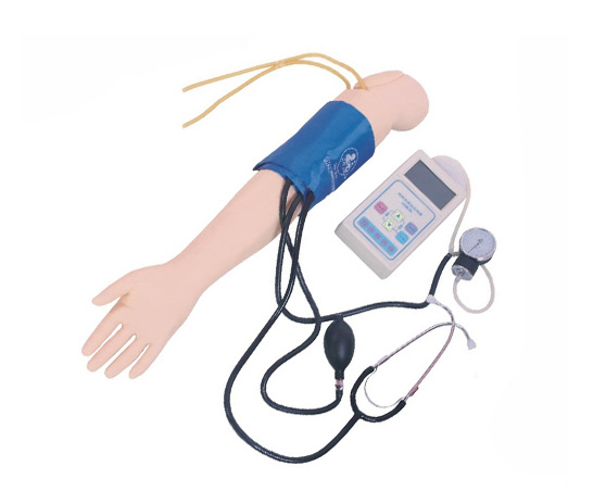 高级手臂血压测量训练模型（彩色液晶）