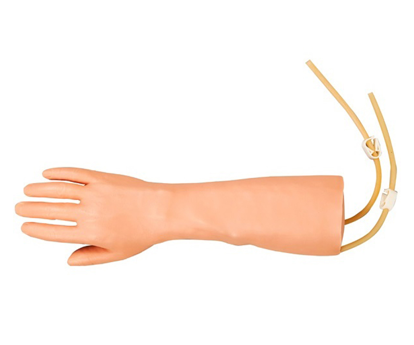 高级手部静脉穿刺训练模型