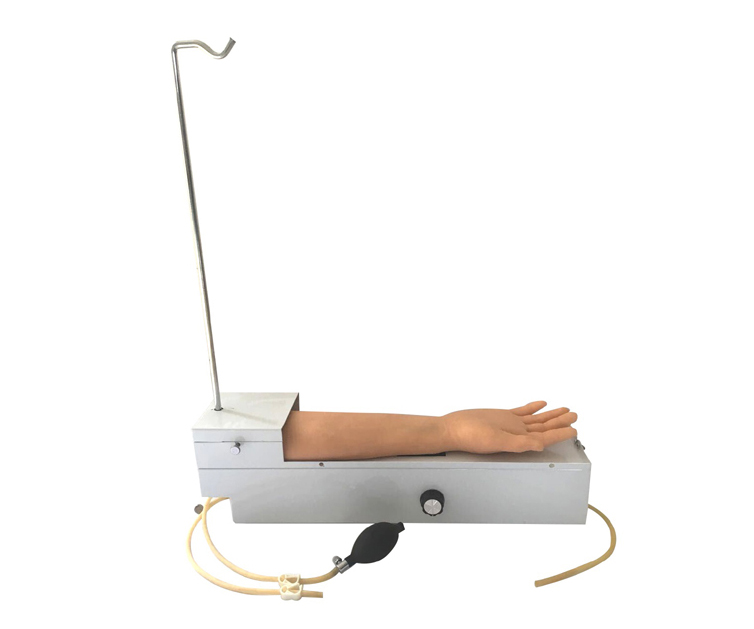 全功能旋转式动脉手臂穿刺训练模型