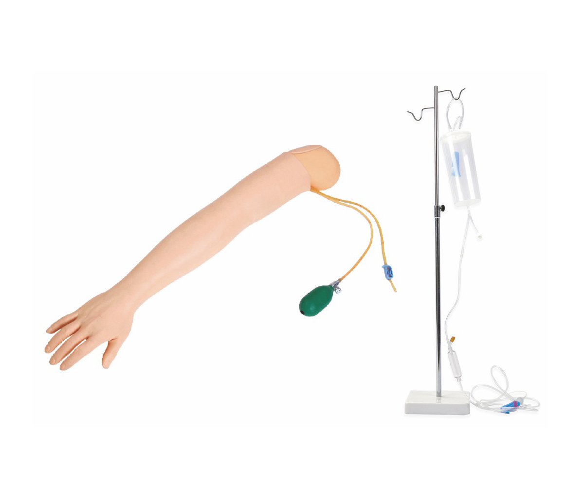 高级手臂动脉穿刺及肌肉注射训练模型