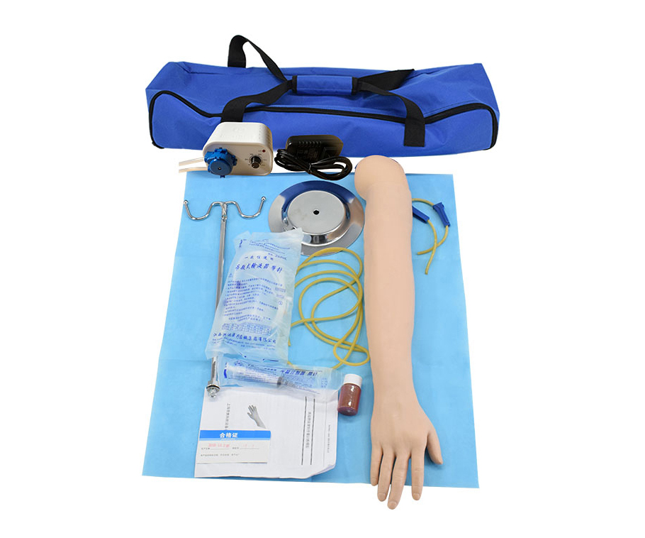 高级手臂静脉穿刺及肌肉注射训练模型（带循环装置）