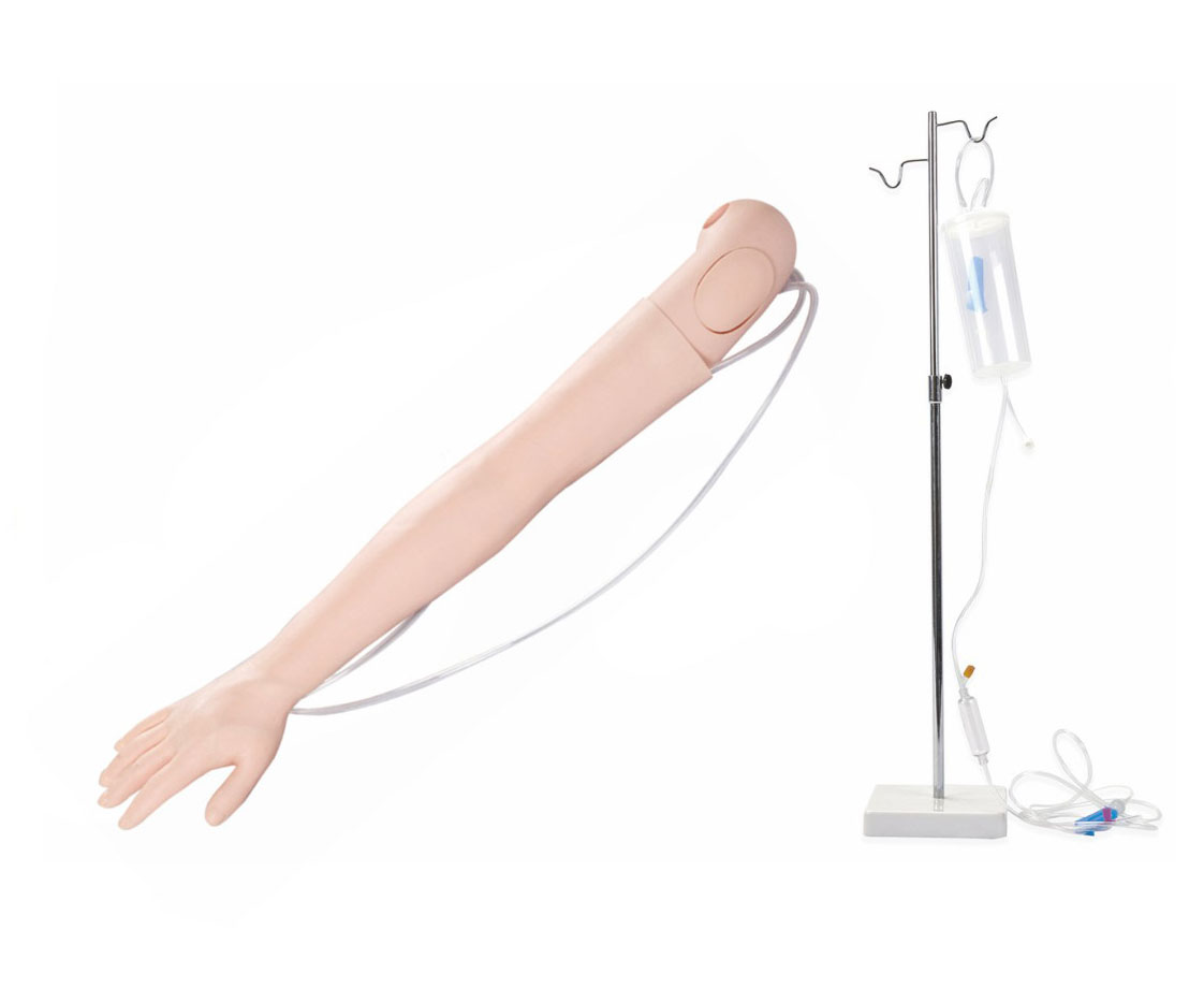 高级手臂静脉穿刺及肌肉注射训练模型