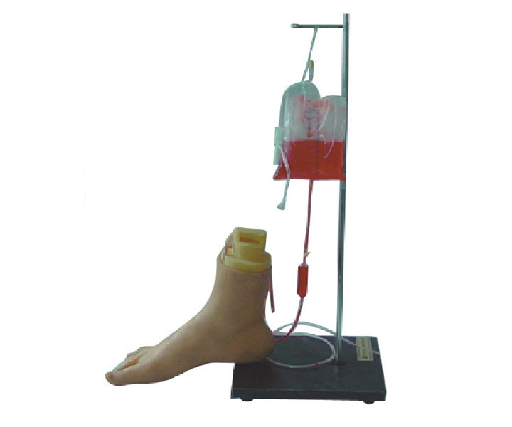 下肢足部静脉注射仿真模型