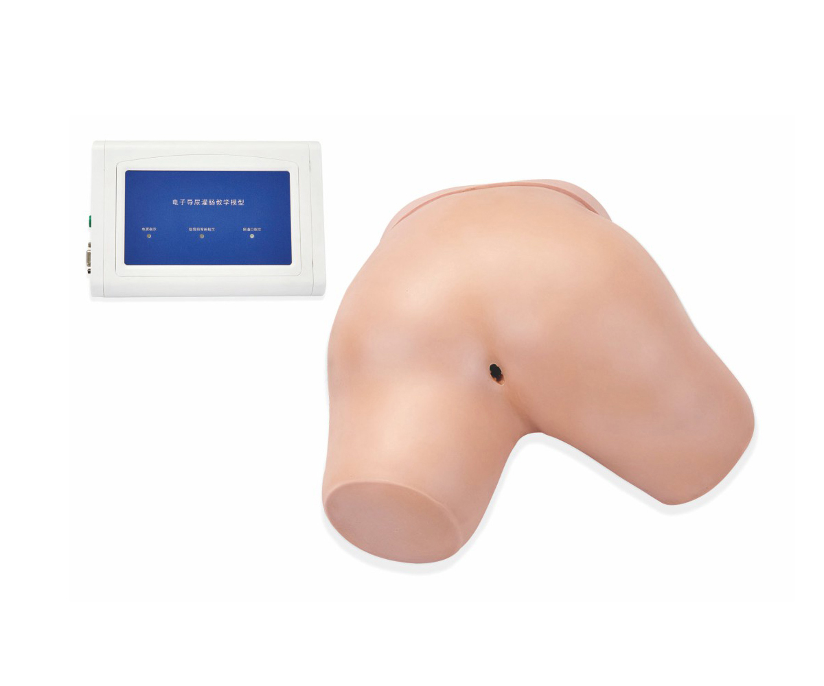 电子灌肠操作模型