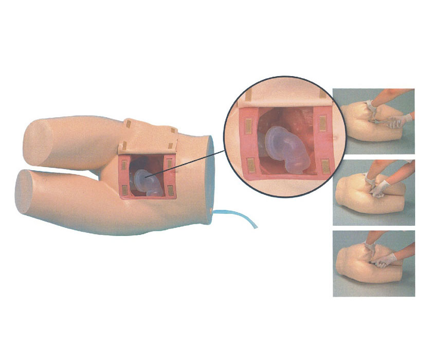 高级灌肠和辅助排便训练模型