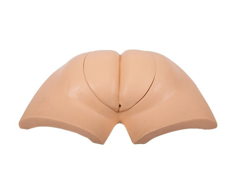 高级着装式人工取便训练模型