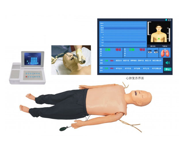 高级多功能急救训练模拟人（心肺复苏CPR与气管插管综合功能）