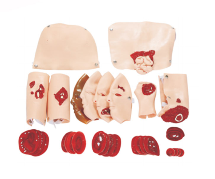 34部件创伤评估模块