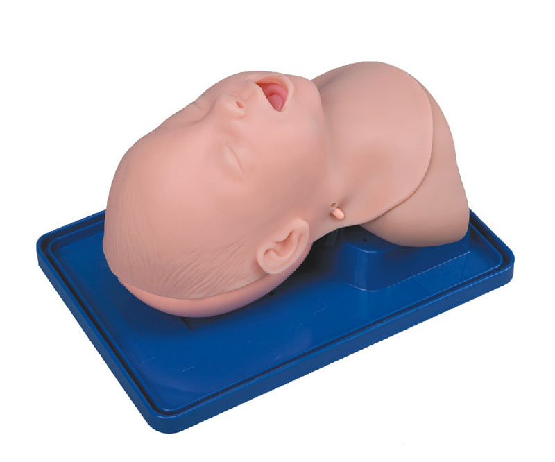 高级婴儿气管插管训练模型