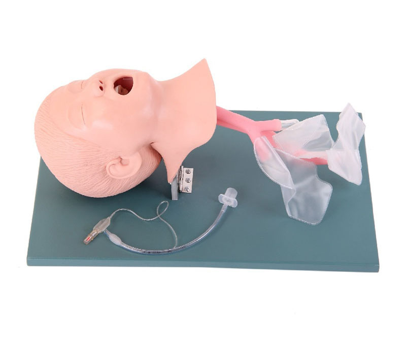 高级儿童气管插管模型