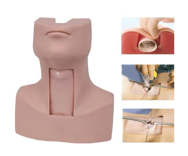 高级环甲膜穿刺及气管切开插管训练模型