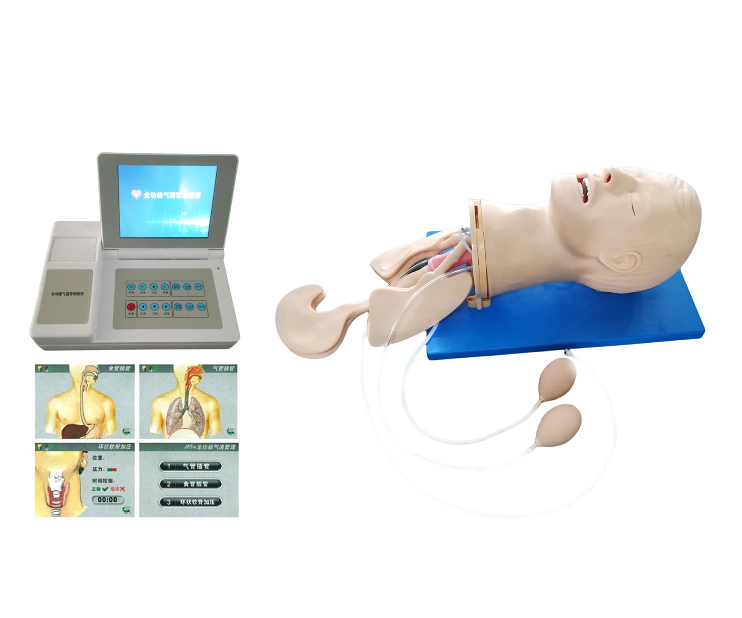 全功能气道管理模型