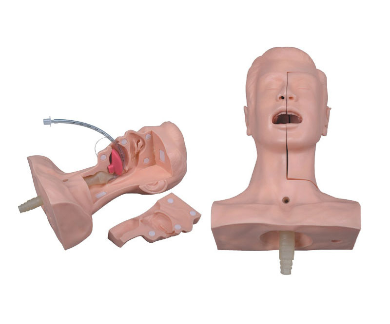 高级吸痰练习模型