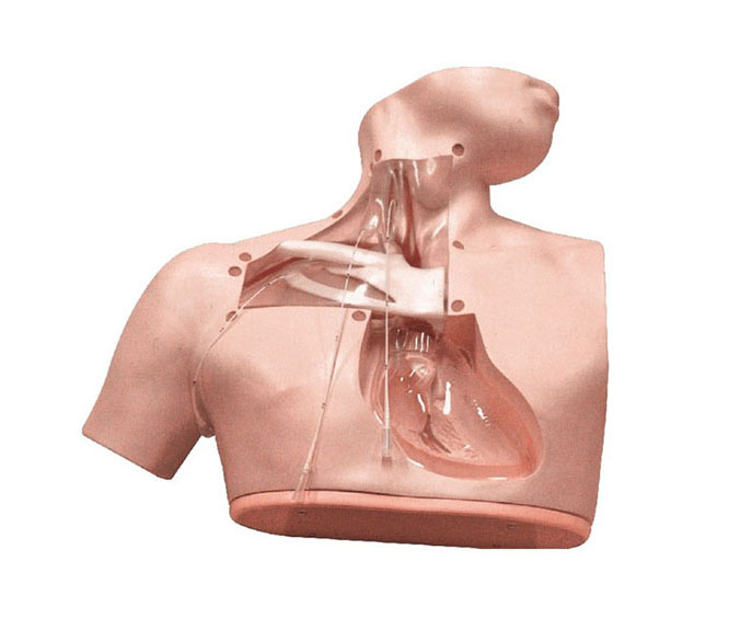 高级肠外营养护理模型