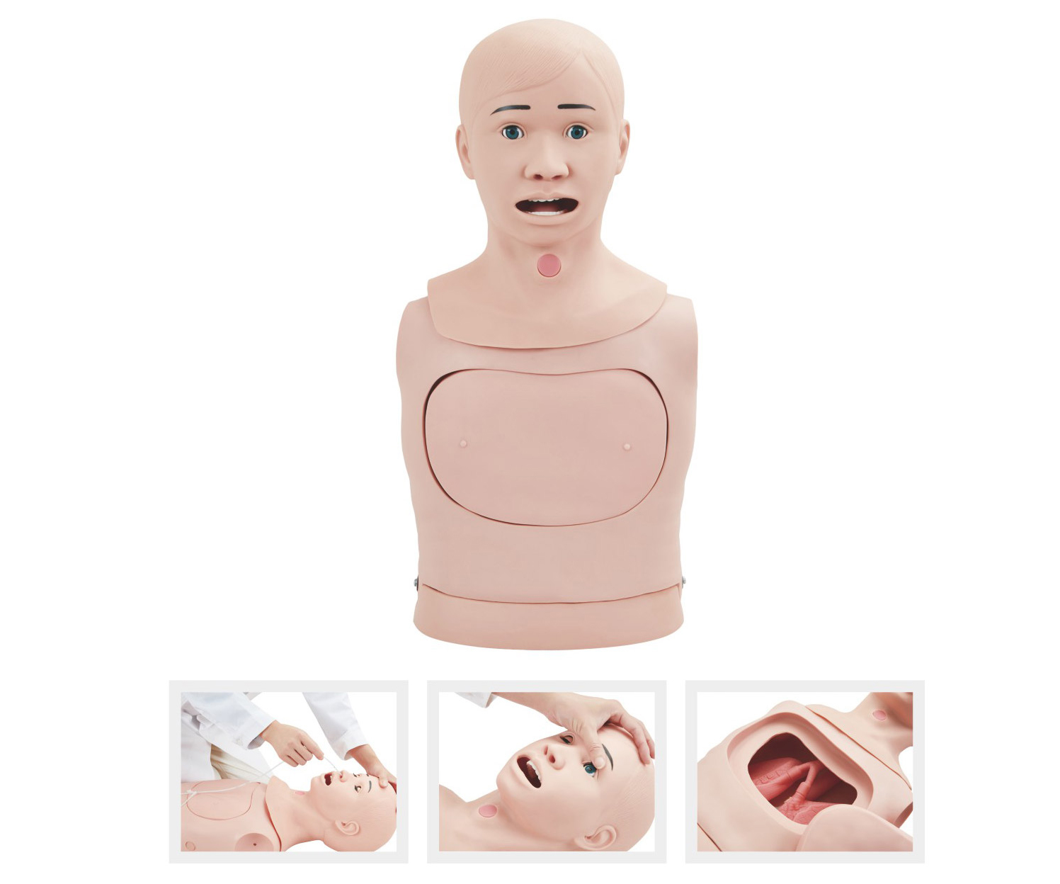 高级鼻饲管与气管护理模型