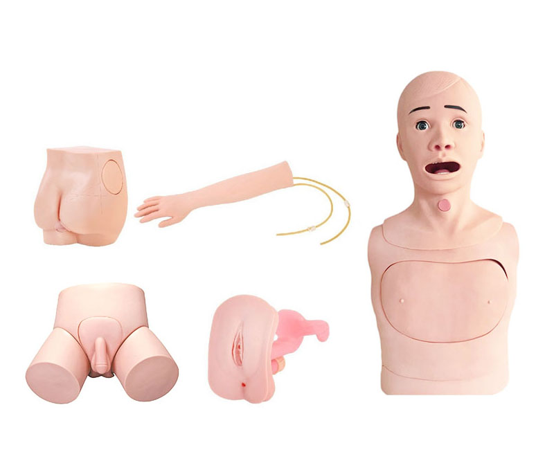 高级基础护理实习操作模型