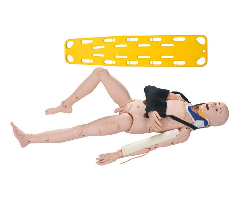 闭合式四肢骨折固定训练模型