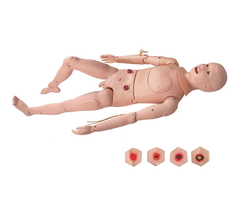 高级组合式基础护理人训练模型